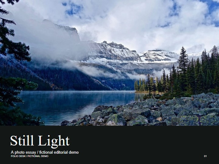 Still Light — Photography portfolio
